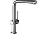 hansgrohe Talis Küchenarmatur 72808000 Ausziehauslauf, 1jet, chrom