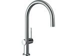 hansgrohe Talis M54-220 Küchenarmatur 72804000 1jet, chrom