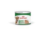 ROYAL CANIN Mini Ageing Mousse 12x195 g