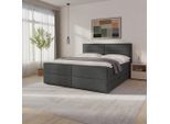 Livetastic , Anthrazit , Holz, Metall, Kunststoff, Textil , Birke, Buche,Birke, Buche , teilmassiv, Hartholz,teilmassiv, Hartholz , H2 + H3 , 180x200 cm , Bettkasten, Matratze, gepolstertes Kopfteil, Topper durchgehend ,