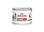 ROYAL CANIN Veterinary RECOVERY 12x195 g
