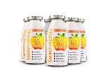 SmoothieDog Immunio 6x250 ml