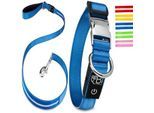 Petsation Leuchthalsband + Leine blau L