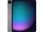 Apple iPad Pro 12,9 256GB [Wi-Fi, Modell 2021] space grau