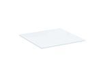 Geberit Xeno² Glasablage 500523001 45 x 0,8 x 45 cm