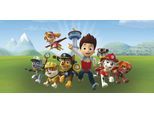 Leinwandbild BÖNNINGHOFF "Wandbild PAW PATROL 33x70 cm – Leinwandbild Keilrahmen Deko modern", bunt (farbe bild(er): blau, grün), B:70cm H:33cm, Canvas, MDF, Bilder, Leinwandbild, auf Keilrahmen gespannt