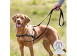 Trixie Trainingsgeschirr Lead'n'Walk Soft