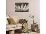 Wandsticker QUEENCE "Blüte", beige, B:120cm H:80cm T:0,1cm, Folie, Wandtattoos, Wandsticker, Selbstklebend, kinderleichte Anbringung