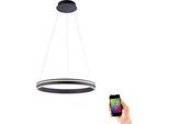 LED Pendelleuchte "Q-VITO", anthrazit, 1, Ø 59cm, 1 Stk., NEUHAUS Q SMART HOME LIGHTS, Leuchten, LED Pendelleuchte