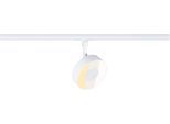PAULMANN Schienensystem-Leuchten "URail Spot Circle 1x5W 2700-4000K 230V", weiß (signalweiß), 1, Ø 10cm, 1 Stk., Leuchten, 3-Step-Dim, Schienensystem-Leuchten