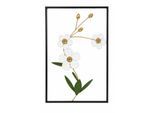 Wanddekoobjekt OTTO HOME "Wanddeko Blüten, weiß-goldfarben-grün, schwarzer Metallrahmen", weiß, B:40cm H:60cm T:4cm, Metall, Wanddekoobjekte, Wanddekoobjekt, Wohnaccessoire aus Metall für jeden Wohnstil, 40x60cm
