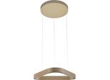 LED Pendelleuchte "Q-STRETTO", beige (bronzefarben), 1, 1 Stk., NEUHAUS Q DESIGN CONTROL LIGHTS, Leuchten, LED Pendelleuchte