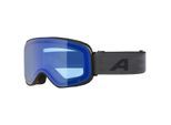 Alpina - Slope V S1-3 - Skibrille blau