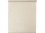 Seitenzugrollo INDEKO "Simply-Fix Klemmrollo", beige (champagner, weiß, weiß), B:100cm H:150cm, Polyester, Rollos, Seitenzugrollo, Verdunklung, Sichtschutz, UV-Schutz