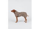 Paikka Visibility Hunderegenmantel Leo