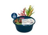Panto MINERAL PICKSTEIN KARAT Ö 10kg