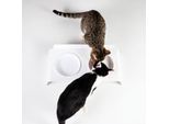 LucyBalu Futterstation DINE weiß