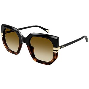 CHLOE Sonnenbrille CH0240S CHLOE Damen braun EG