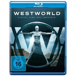 Warner Bros (Universal Pictures) Westworld - Die komplette 1. Staffel [3 BRs]