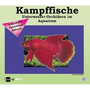 A.C.S. Kampffische