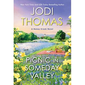 Zebra Books Picnic in Someday Valley