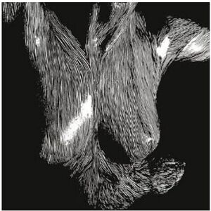 Oceansize - Self Preserved While the Bodies Float Up