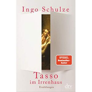 Ingo Schulze - Tasso im Irrenhaus: Erzählungen