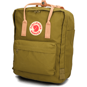 FJÄLLRÄVEN Kanken grün female