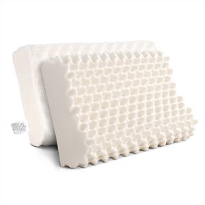 Giselle Latex Pillow Contour Egg Crate Pillows Set of 2