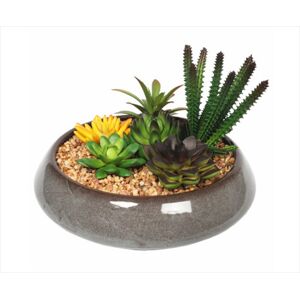 Potted Succulents With Round Decorative Bowl 19cm