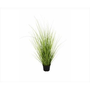 Wild Grass Plant 70cm