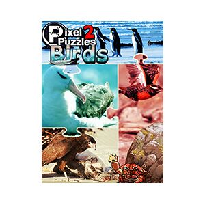 Kiss Pixel Puzzles 2: Birds