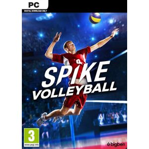 Bigben Interactive Spike Volleyball PC