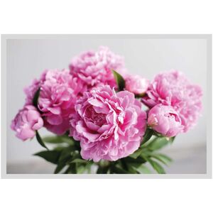 queence Bild »Linn«, Blumen, gerahmt, Rosen Farbe Rahmen: weiss + Farbe Bild(er): rosa Größe