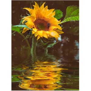 Artland Wandbild »Sonnenblume«, Blumen, (1 St.), als Alubild, Outdoorbild,... Farbe Bild(er): gelb Größe