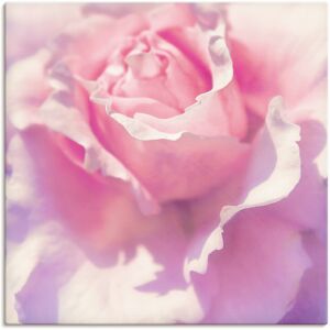 Artland Wandbild »Rosa«, Blumen, (1 St.), als Leinwandbild, Poster,... Farbe Bild(er): pink Größe