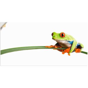 Artland Wandbild »Frosch auf einem Blatt«, Wassertiere, (1 St.), als Alubild,... Farbe Bild(er): weiss Größe