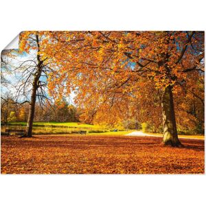 Artland Wandbild »Herbst bei Schlosses Nymphenburg«, Wiesen & Bäume, (1 St.),... Farbe Bild(er): braun Größe