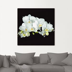 Artland Wandbild »Weisse Orchidee auf schwarzem Hintergrund«, Blumen, (1... Farbe Bild(er): weiss Größe