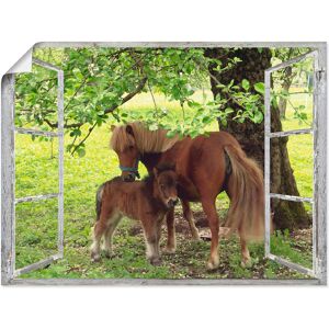 Artland Wandbild »Fensterblick - Pony mit Kind«, Haustiere, (1 St.), als... Farbe Bild(er): grün Größe