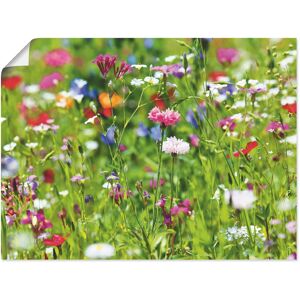 Artland Wandbild »Blumenwiese I«, Blumenwiese, (1 St.), als Leinwandbild,... Farbe Bild(er): grün Größe