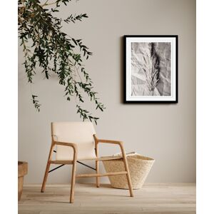 Leonique Bild mit Rahmen »Pampasgras - Gerahmter Digitaldruck - Wandbild«, (1... Farbe Rahmen: Schwarz + Farbe Bild(er): Grau Größe