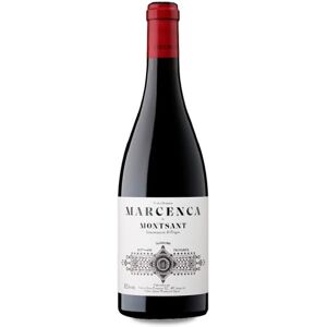 Terroir Sense Fronteres Marcenca 2021 - 75cl