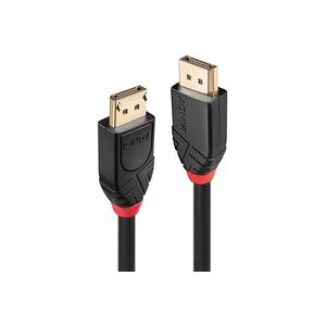 Lindy Aktives DisplayPort 1.2 Kabel