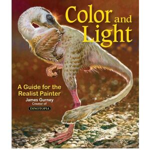 Simon + Schuster LLC Color and Light