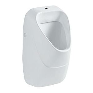 Geberit Urinal Alivio 238050000 weiss, Zulauf oben, Abgang hinten oder unten