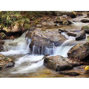 Papermoon Fototapete »WASSERFALL-BÄUME FLUSS SEE STEINE BLUME WALD BACH SONNE« bunt B/L: 4,50 m x 2,80 m