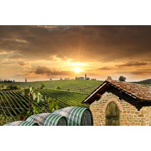 Papermoon Fototapete »Wein Felder« bunt B/L: 4,00 m x 2,60 m
