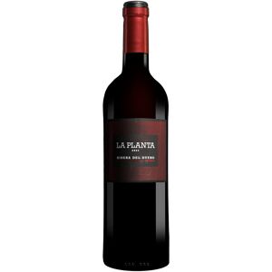 Arzuaga La Planta 2023 14% Vol. Rotwein Trocken aus Spanien