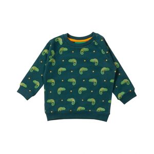 Little Green Radicals - Sweatshirt LITTLE LIZARD in grün, Gr.98